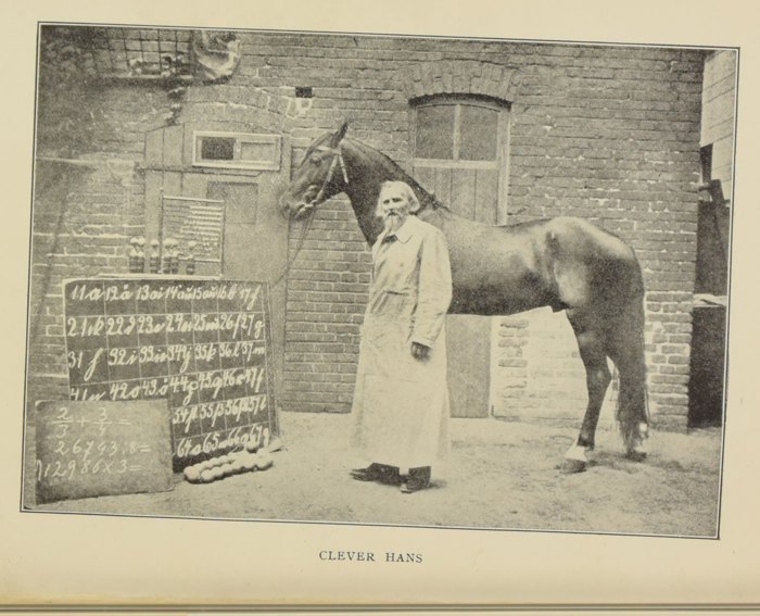 Akıllı Hans etkisi