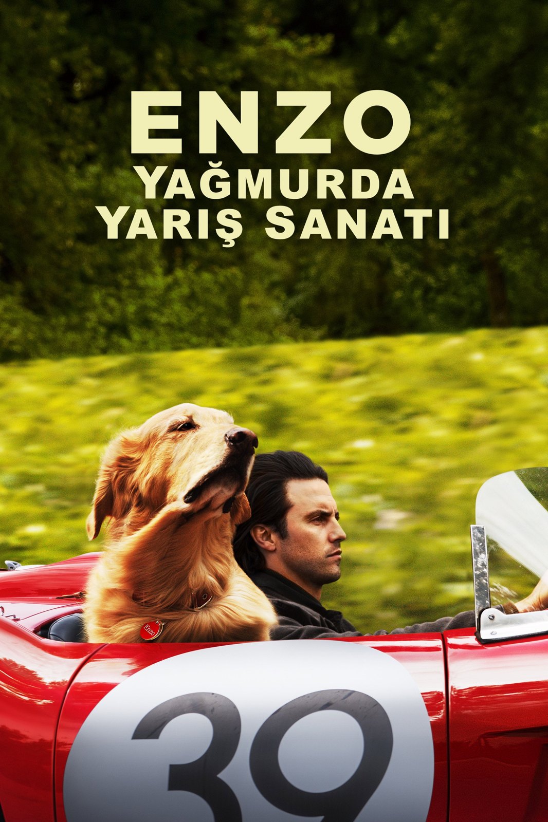 Yağmurda Yarış Sanatı
