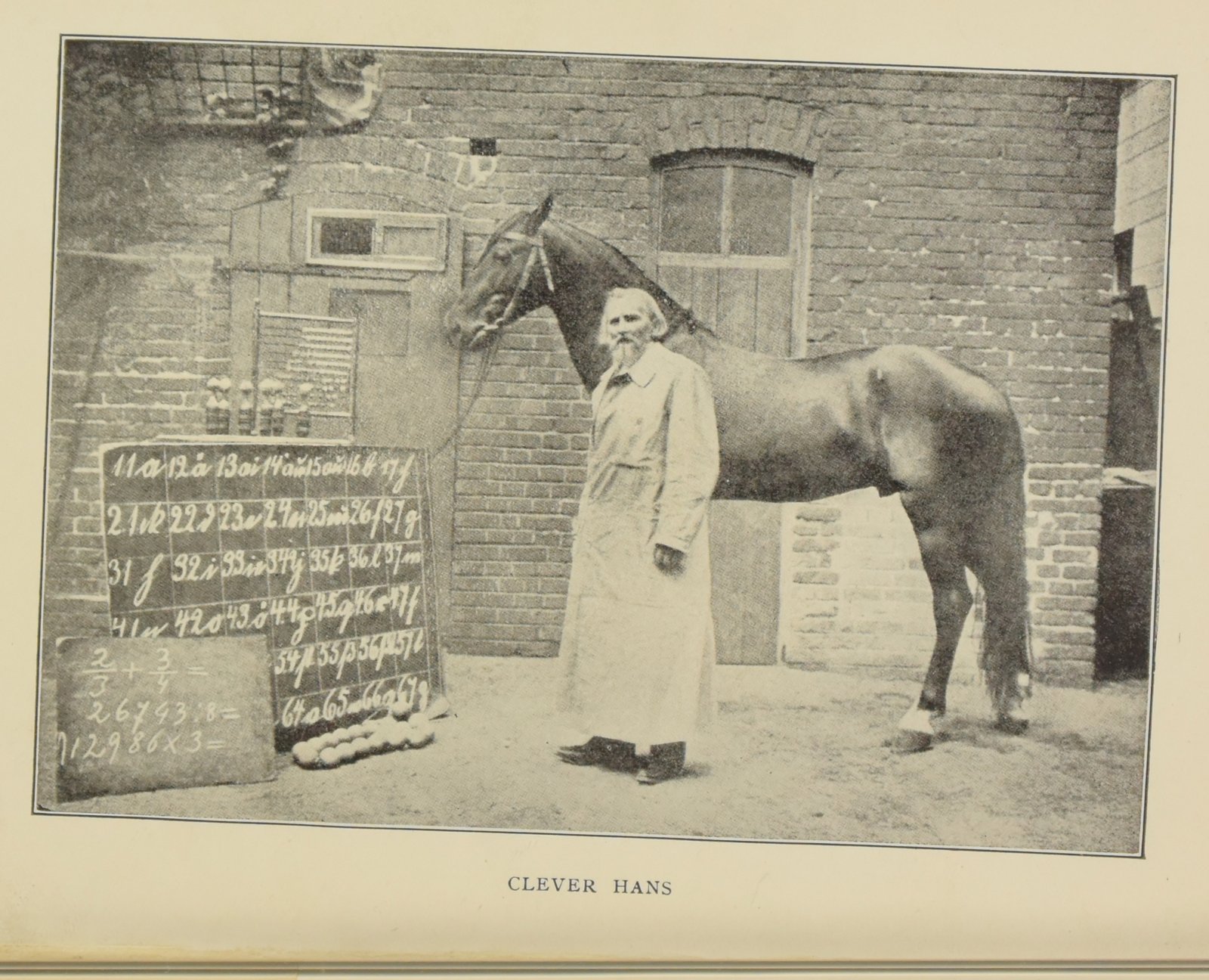 Wilhelm von Osten ve Hans, avluda. Arkadaki tahtada atın cevapladığı hesaplar.