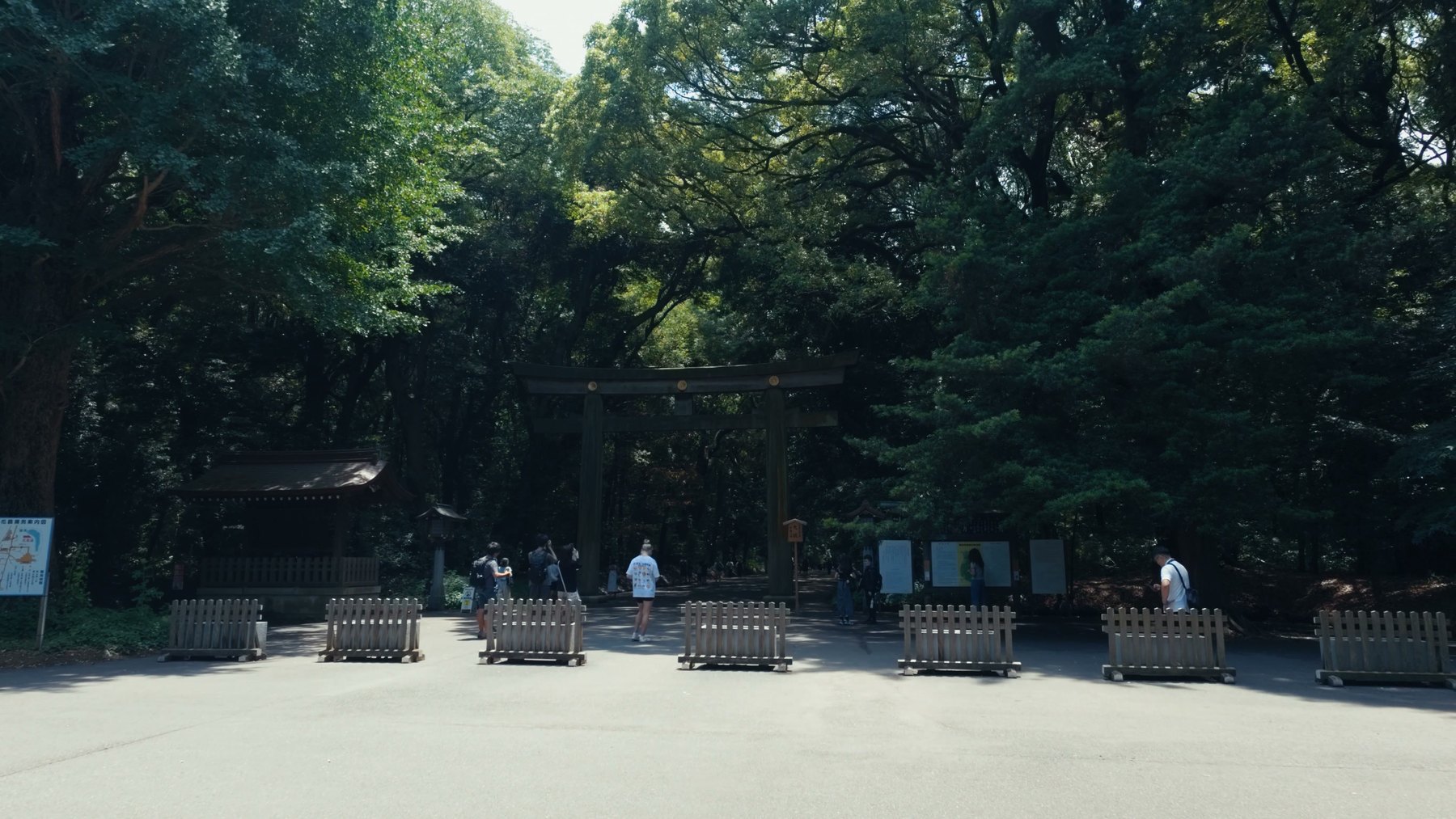 Meiji Jingu'nun ootorii'si. Bin beş yüz yaşında tek bir selvinin gövdesinden yapılmış.