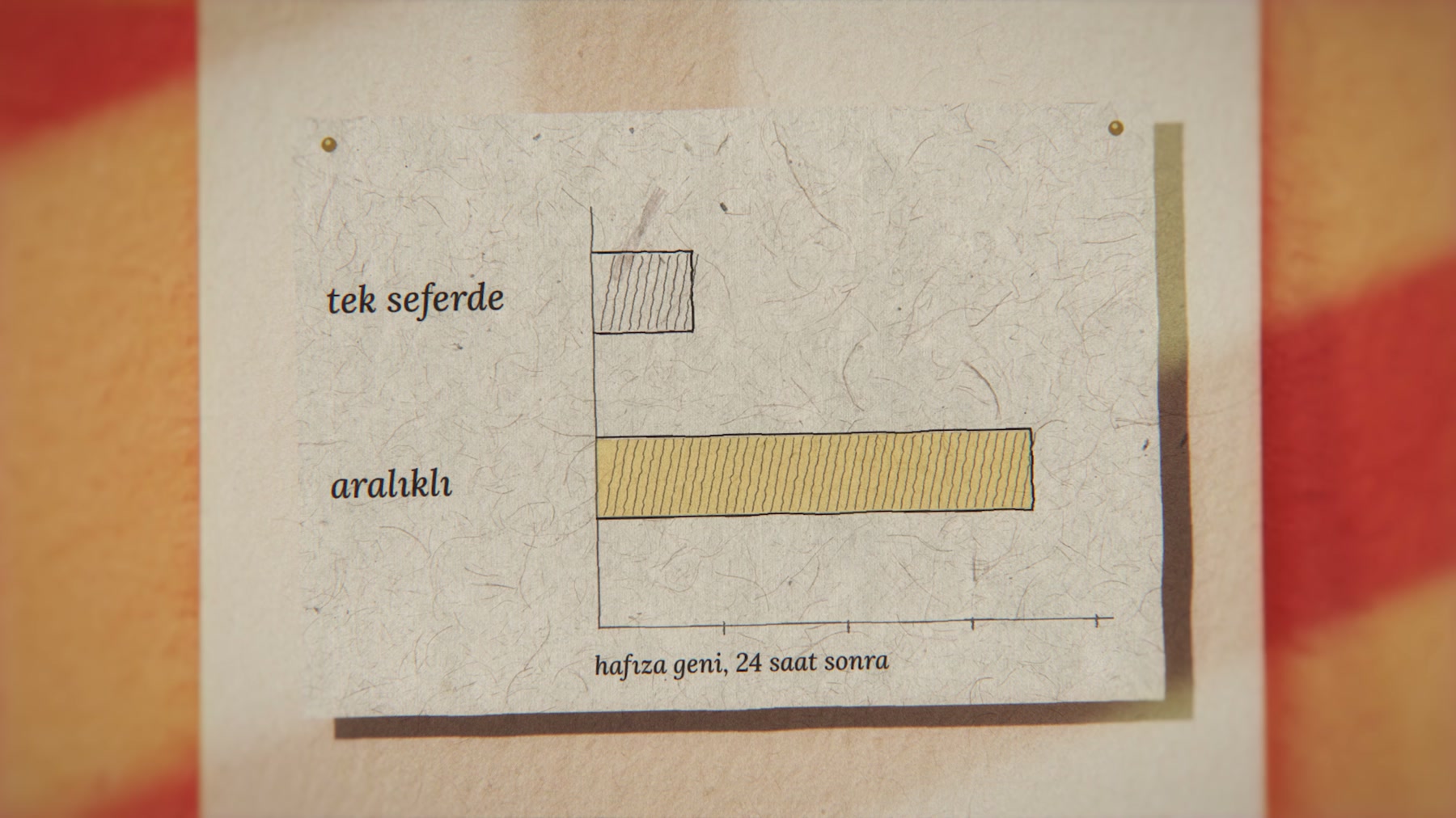 Aynı ders, tek seferde ve aralıklı. Araya zaman konan hücrelerde hafıza geni çok daha güçlü çalışıyor.