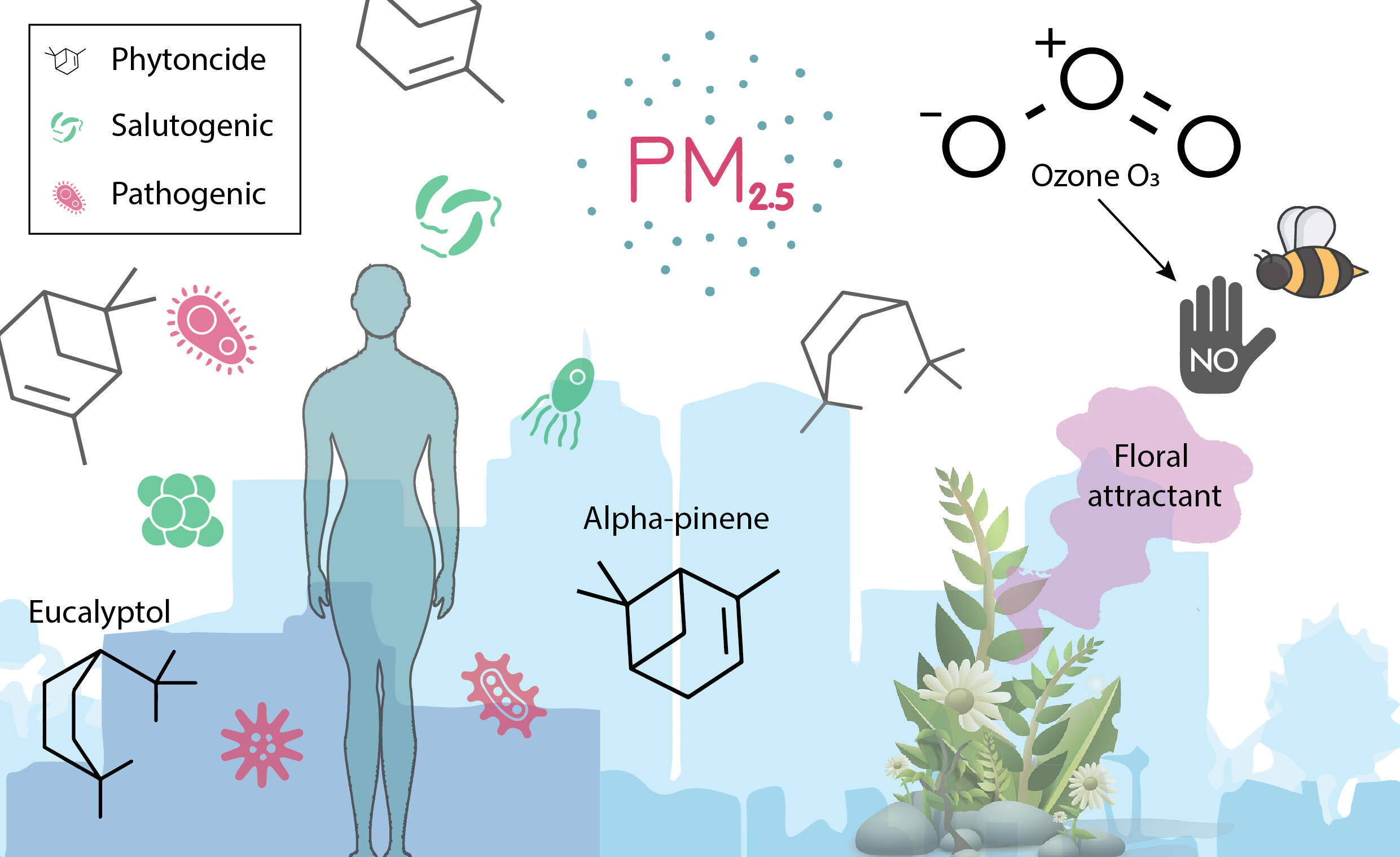Aerobiyom: soluduğumuz havada asılı duran fitonsidler, mikroplar, polenler ve PM2.5. Hava, içinden geçtiğimiz başlı başına bir ekoloji.