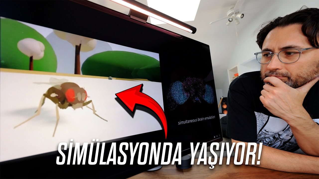 Sinek Beyni Bilgisayara Yüklendi!